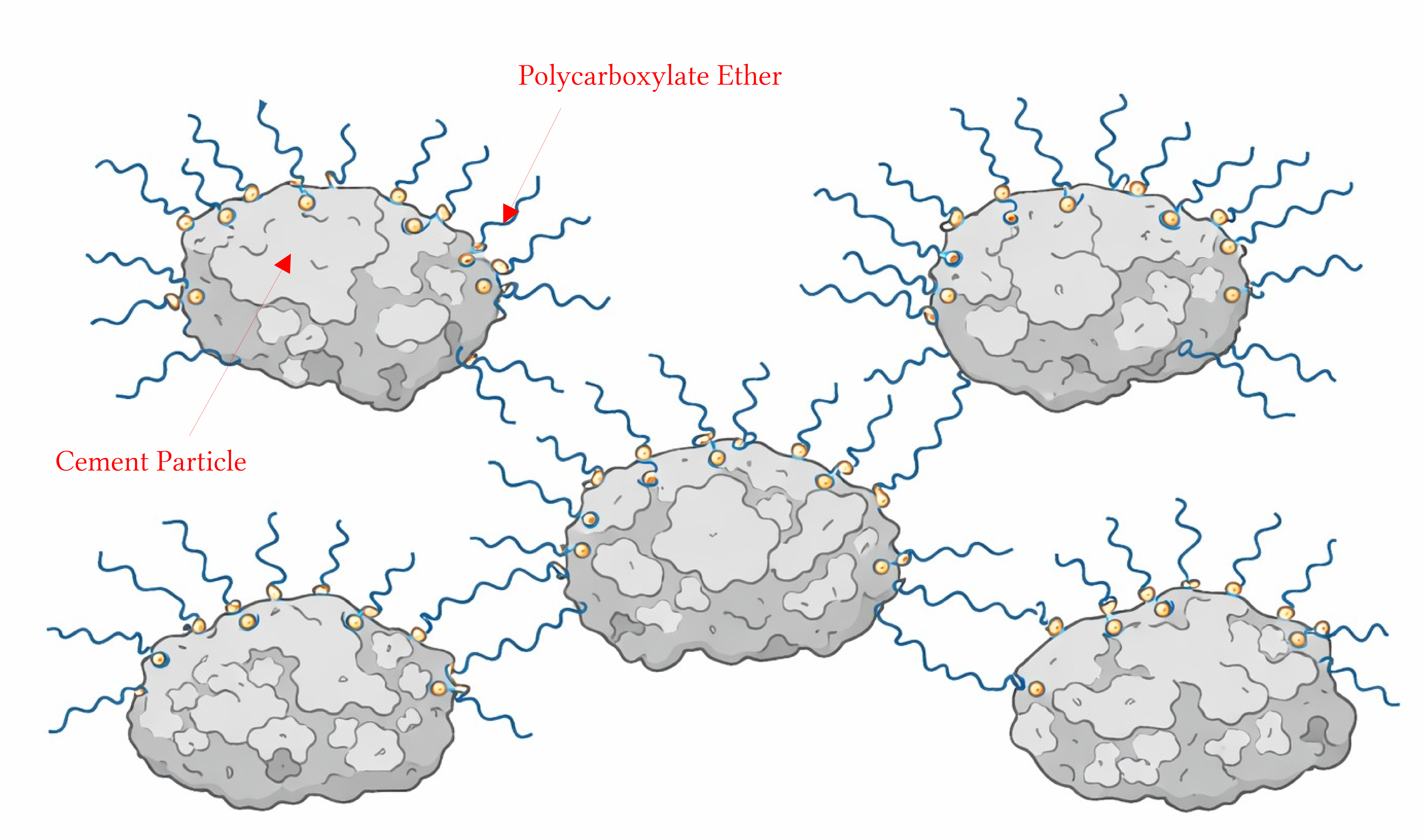 PCE polymer interacting with Cement Particle